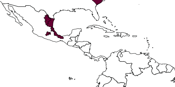 map of Phygadeuon zapotecus     Cresson, 1873